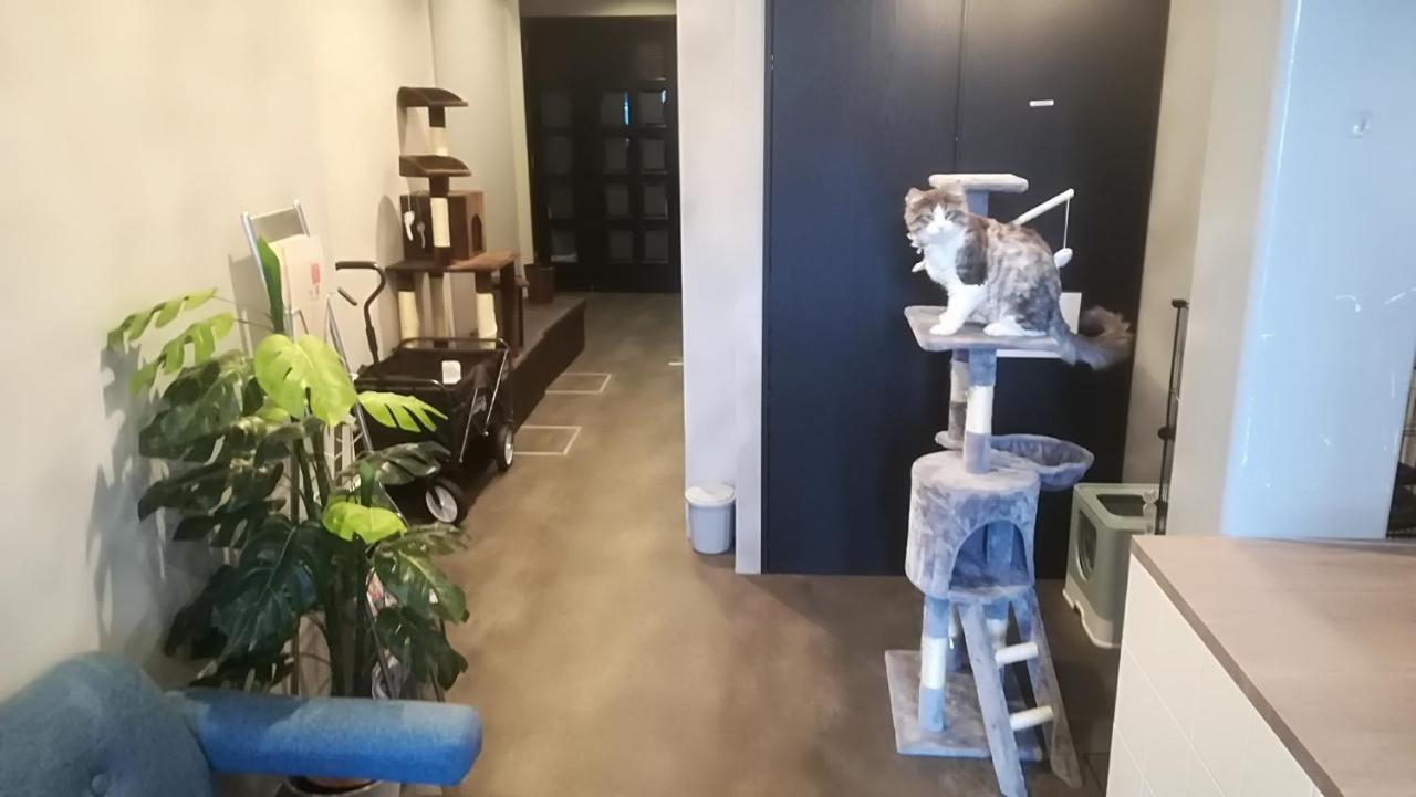 Cote Sakuragawa "Room 201,301,401" - Vacation Stay 03144V Osaka Bagian luar foto